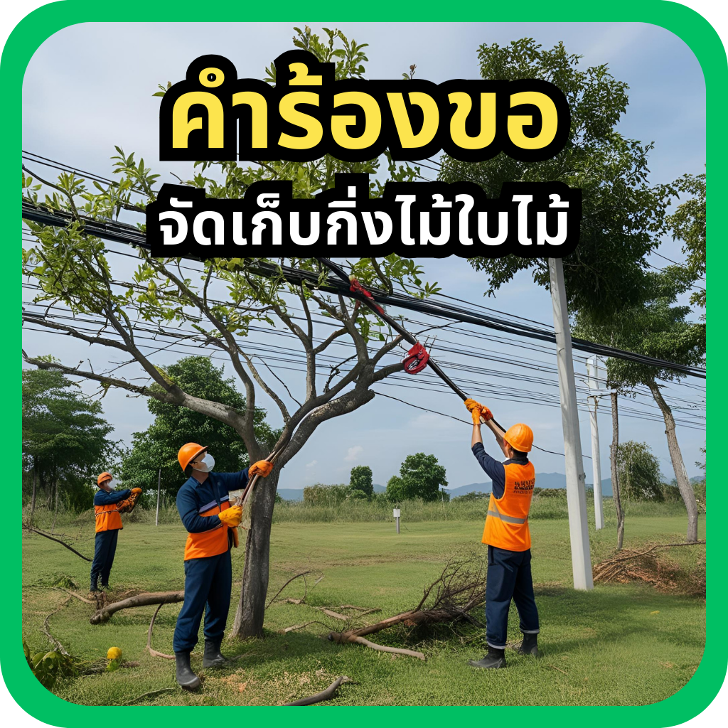 คำร้องขอจัดเก็บกิ่งไม้ใบไม้